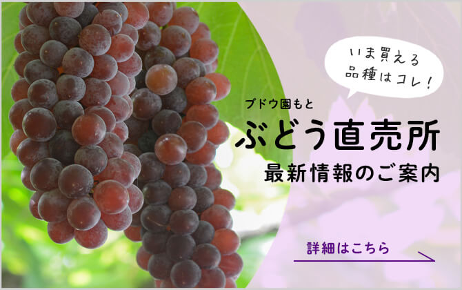 ぶどう直売所