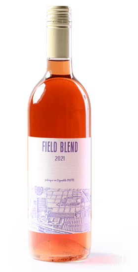 FIELD BLEND 2020