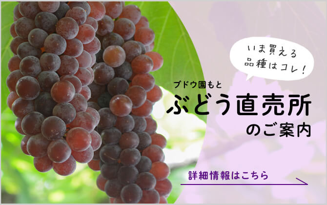 ぶどうの直売所