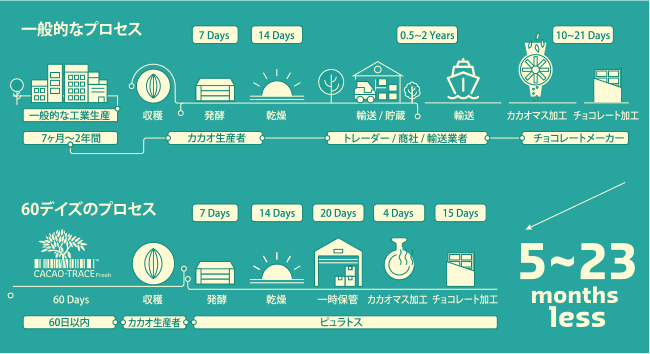 カカオ加工のプロセス