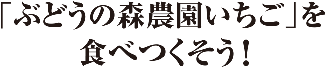 「ぶどうの森農園いちご」を食べつくそう！