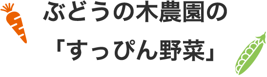 ぶどうの木農園の「すっぴん野菜」