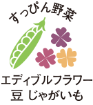 すっぴん野菜