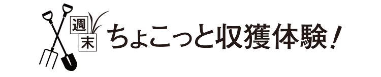 ちょこっと収穫体験