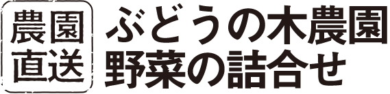 ぶどうの木農園野菜の詰合せ