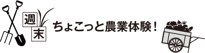 ちょこっと農業体験