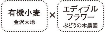 有機小麦×エディブルフラワー