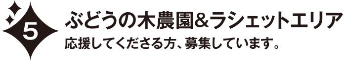 ぶどうの木農園＆ラシェットエリア