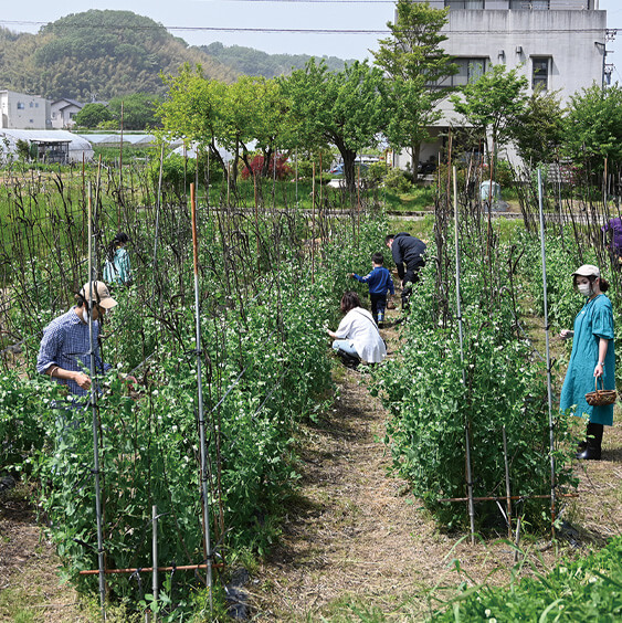 ラシェットエリア